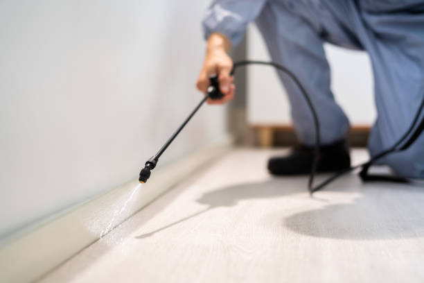 Licensed Fumigation Services service in London, OH - Nex Pest Control
