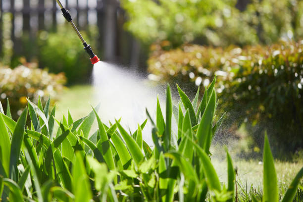 24/7 Emergency Fumigation Services experts in London, OH