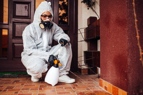 Reliable Fumigation Services contractor in London, OH by Nex Pest Control